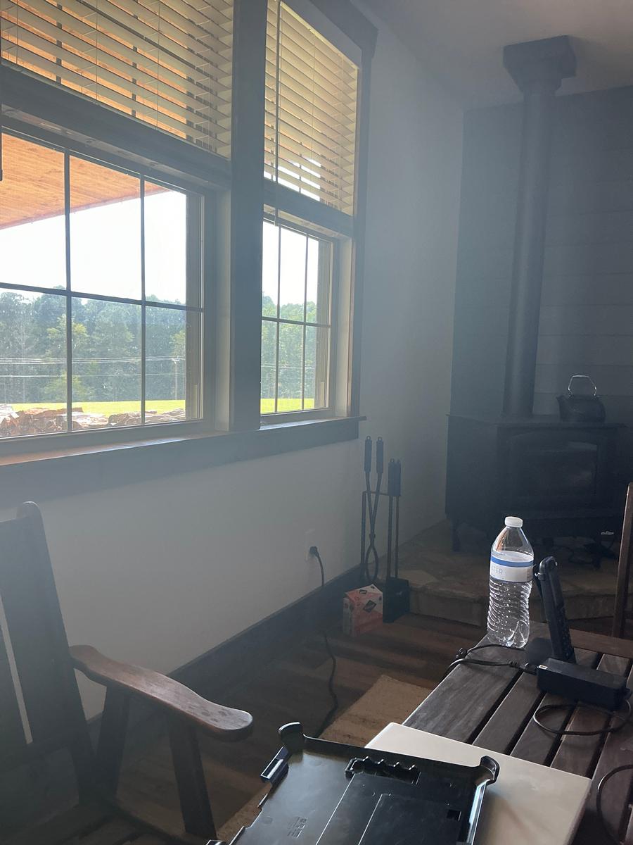 Acer buergerianum Aeryn®